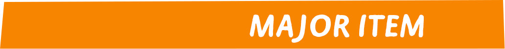 MAJOR ITEM