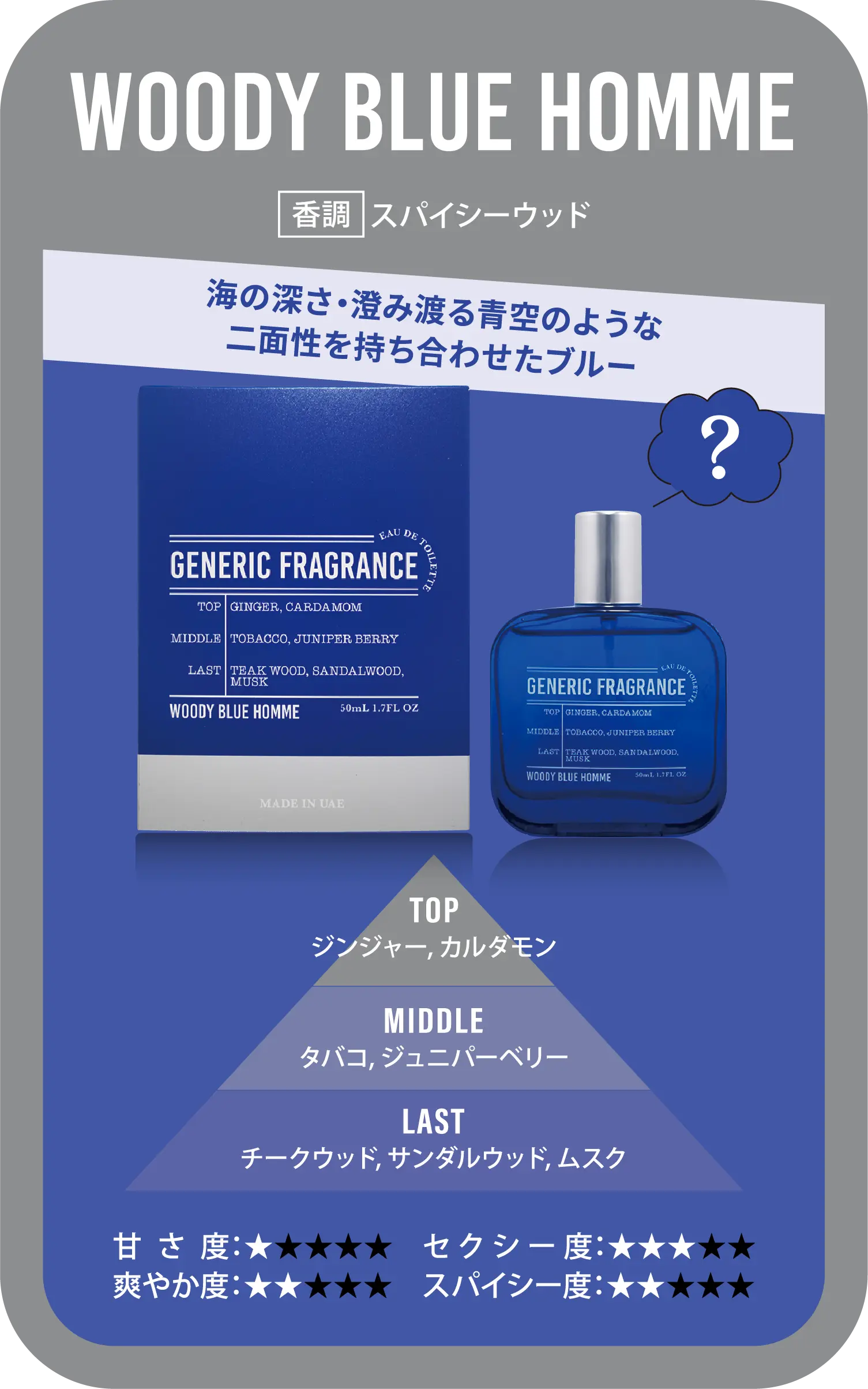 WOODY BLUE HOMME