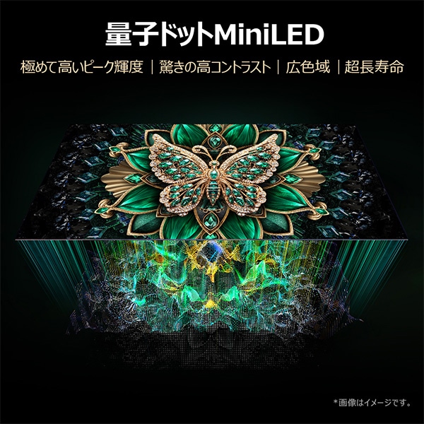 情熱価格&times;TCL miniLED 55型4Kスマート液晶テレビ
